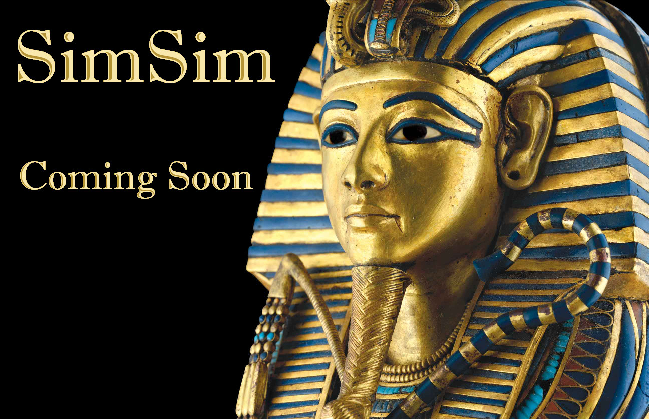 SimSim